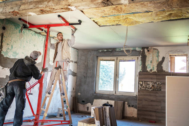 Best Cellulose Insulation in Stallion Springs, CA
